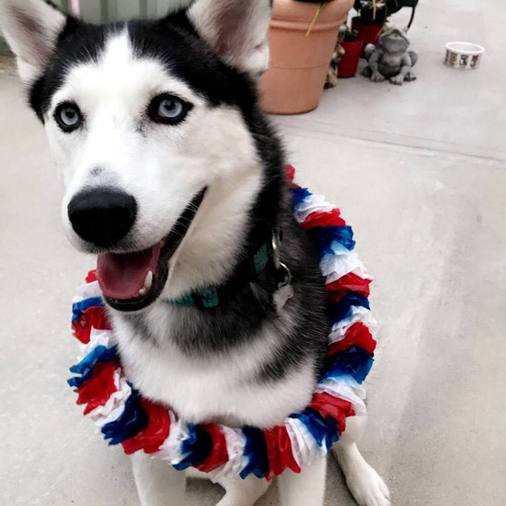 Meet your Posher, Rain