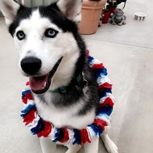 Meet your Posher, Rain