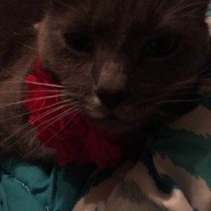 Meet your Posher, Emma