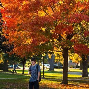 Meet your Posher, Austin