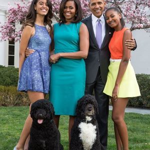 Meet your Posher, Walter