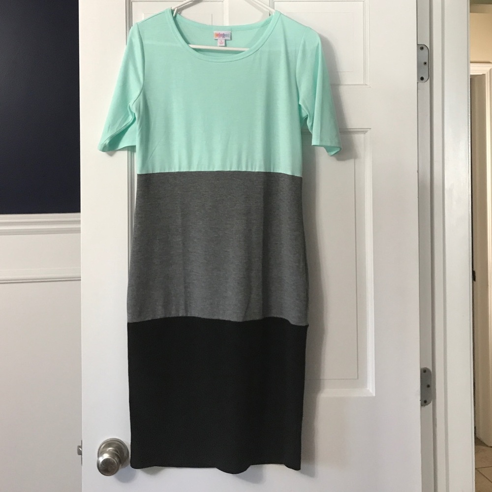 NWOT Lularoe Julia Dress