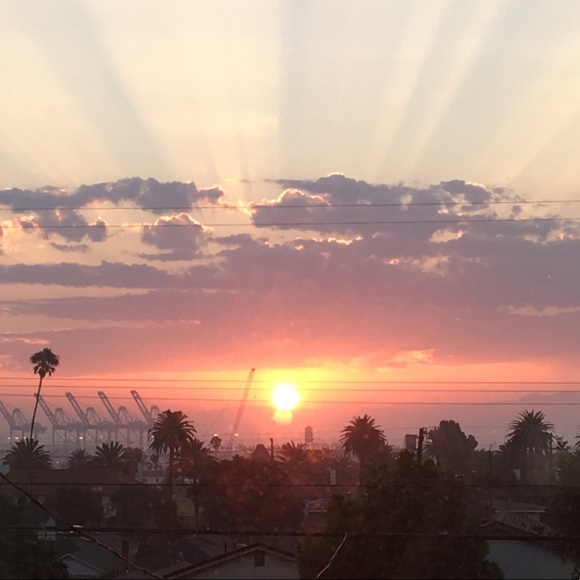 Meet your Posher, Amber - Picture 2 of 3