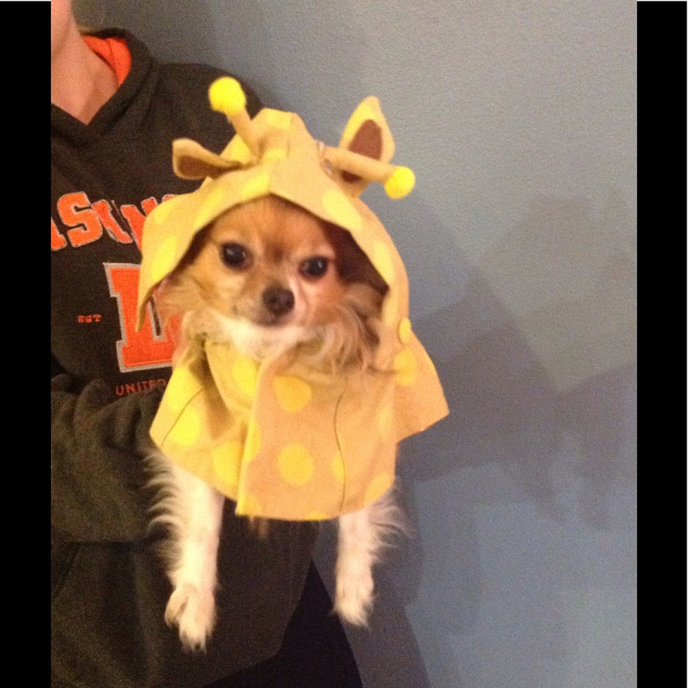 Meet your Posher, Jolene