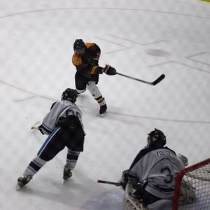 Meet your Posher, Joey