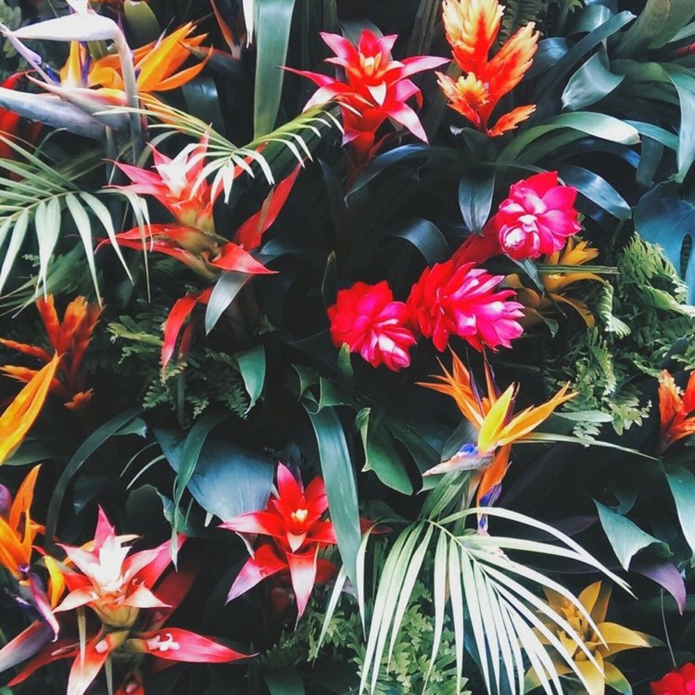 Meet your Posher, Jade