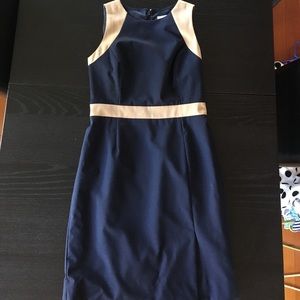 J Crew dress