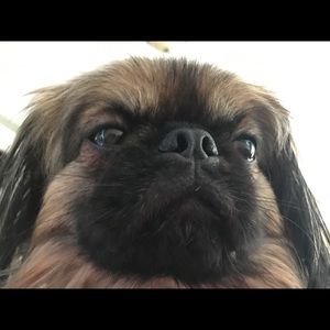 Meet your Posher, Saily