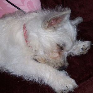 Meet your Posher, Colleen