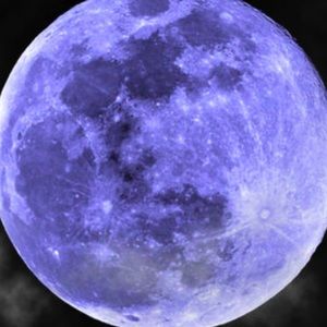 Meet your Posher, Kaylee