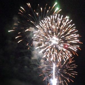 Meet your Posher, Janine