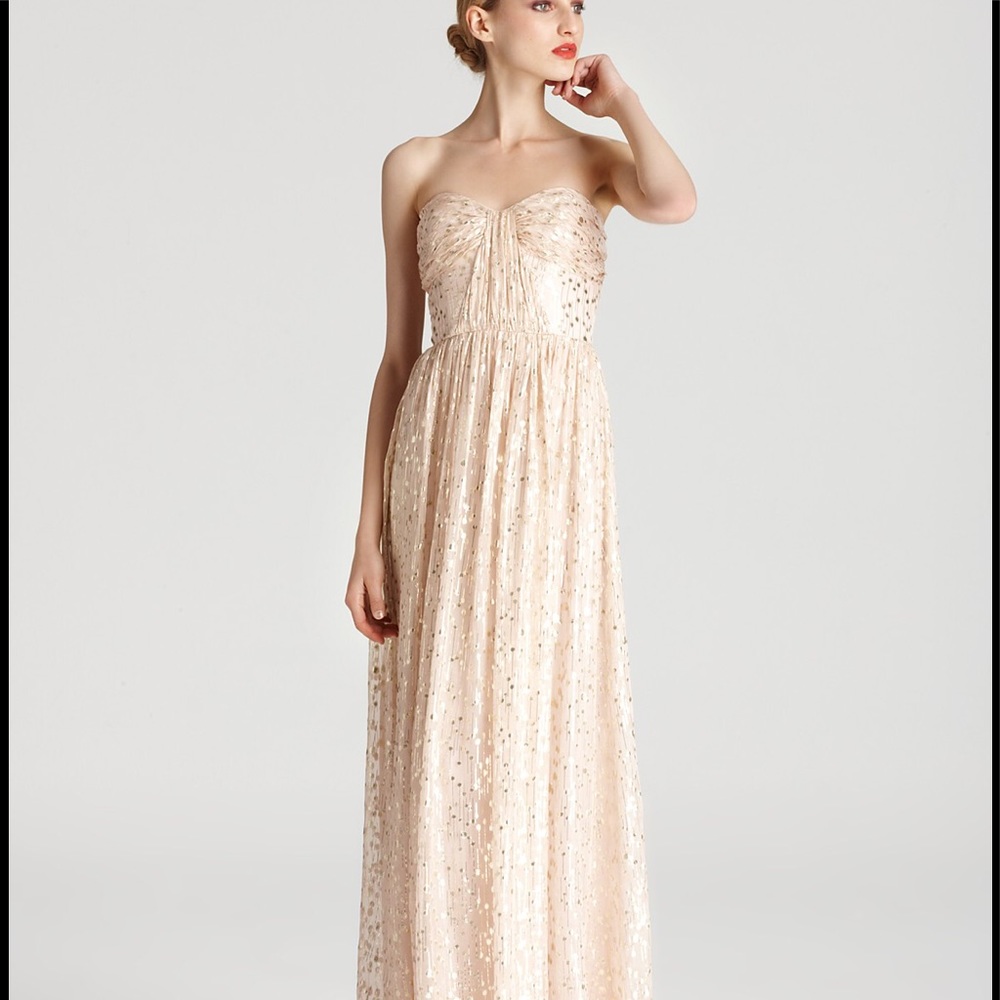 Erin Fetherston Coralie Foiled Silk Chiffon Gown