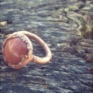 Electroformed Sunstone Ring