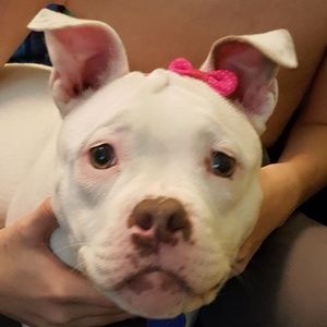 Meet your Posher, Jennifer