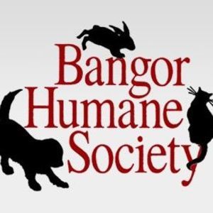 Meet your Posher, Jane