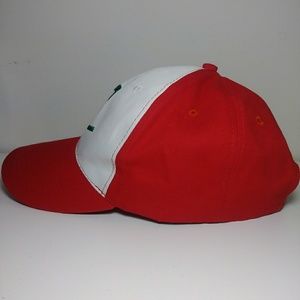 Ash Ketchum hat