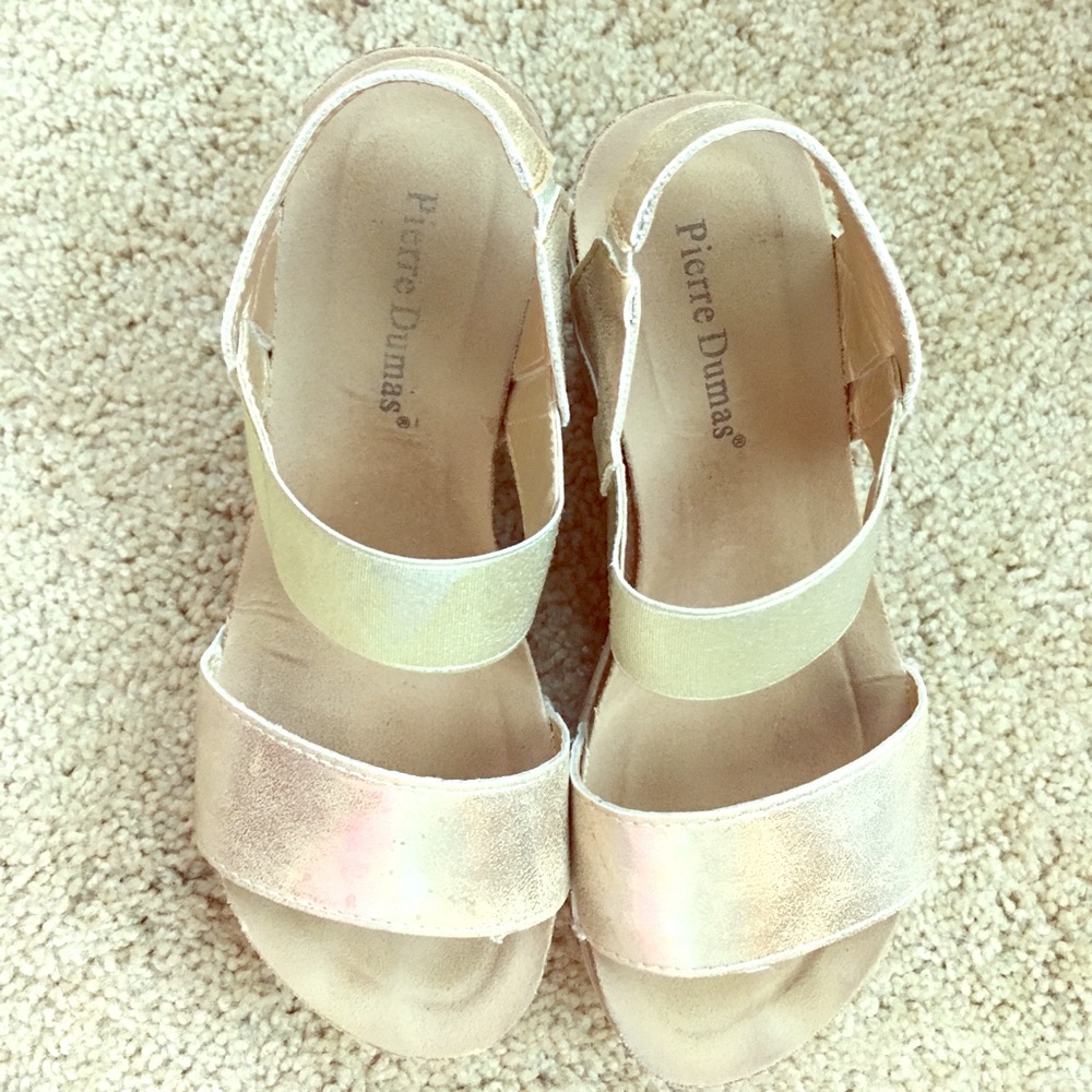 Pierre Dumas wedges