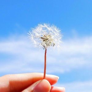 Meet your Posher, Dyrenna