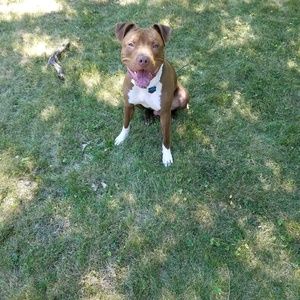 Meet your Posher, Michael