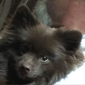 Meet your Posher, Jamie