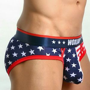 FIRE CRACKER SEXY, PATRIOTIC MEN'S UNDERWEAR (L)