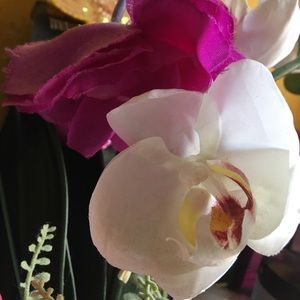 Meet your Posher, Arianna