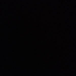 Meet your Posher, Joey