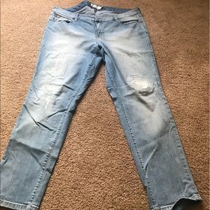 Torrid Jeans