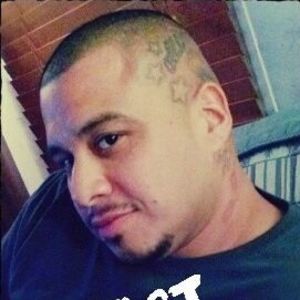 Meet your Posher, Joey