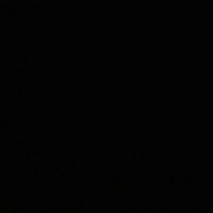 Meet your Posher, Ricky