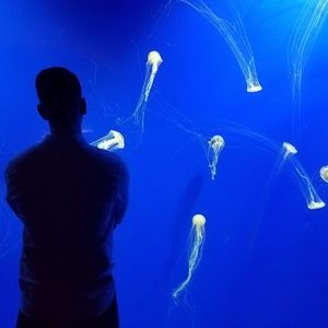 Meet your Posher, Sandy