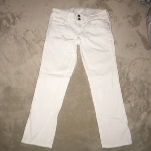 American eagle white Artist crop