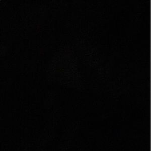 Meet your Posher, Tyariq