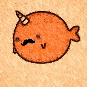 Meet your Posher, Terry