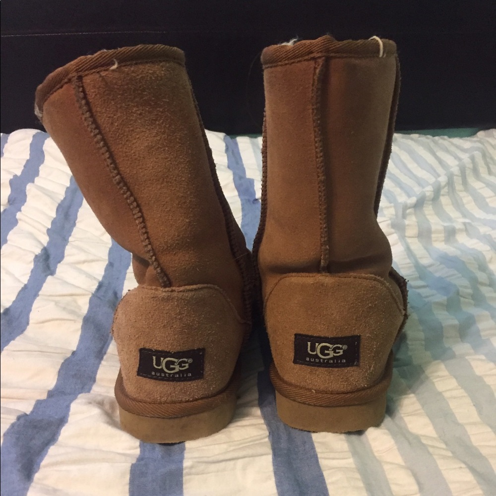 Short Chestnut UGGS