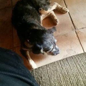 Meet your Posher, Paul