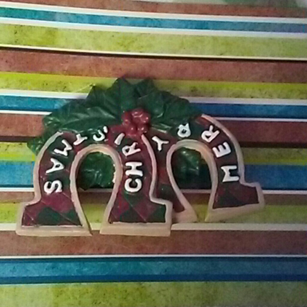 Horseshoe mistle toe brooch 📌