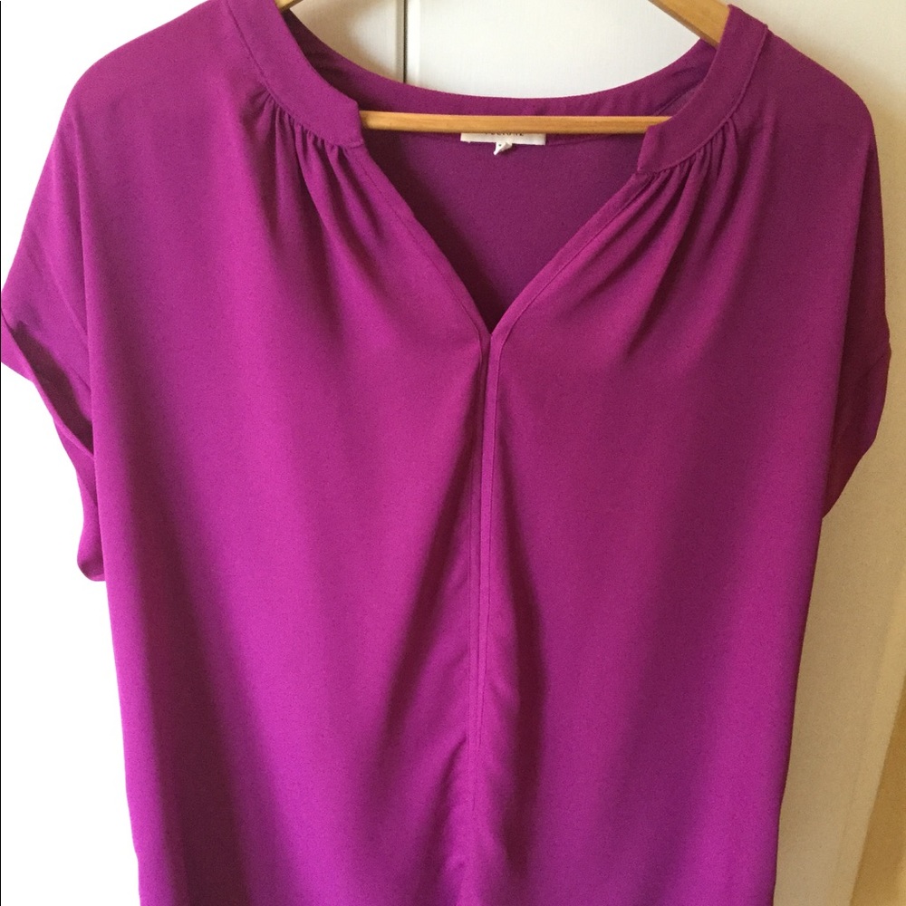Pleione fuschia blouse, size L