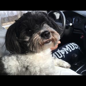 Meet your Posher, Kimberly