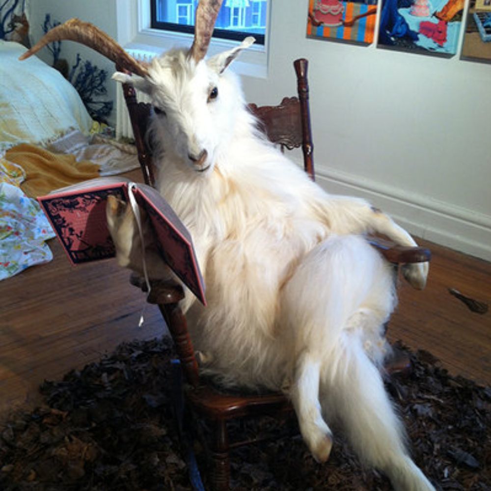 Meet your Posher, Leslie