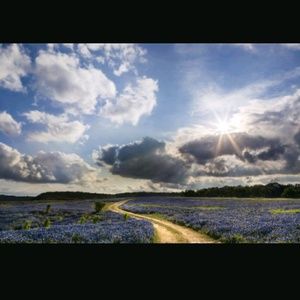 Meet your Posher, Luis