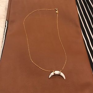 Stella and Dot Arc Pendant Necklace