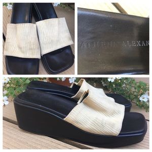 Athena Alexander Silk Wedges