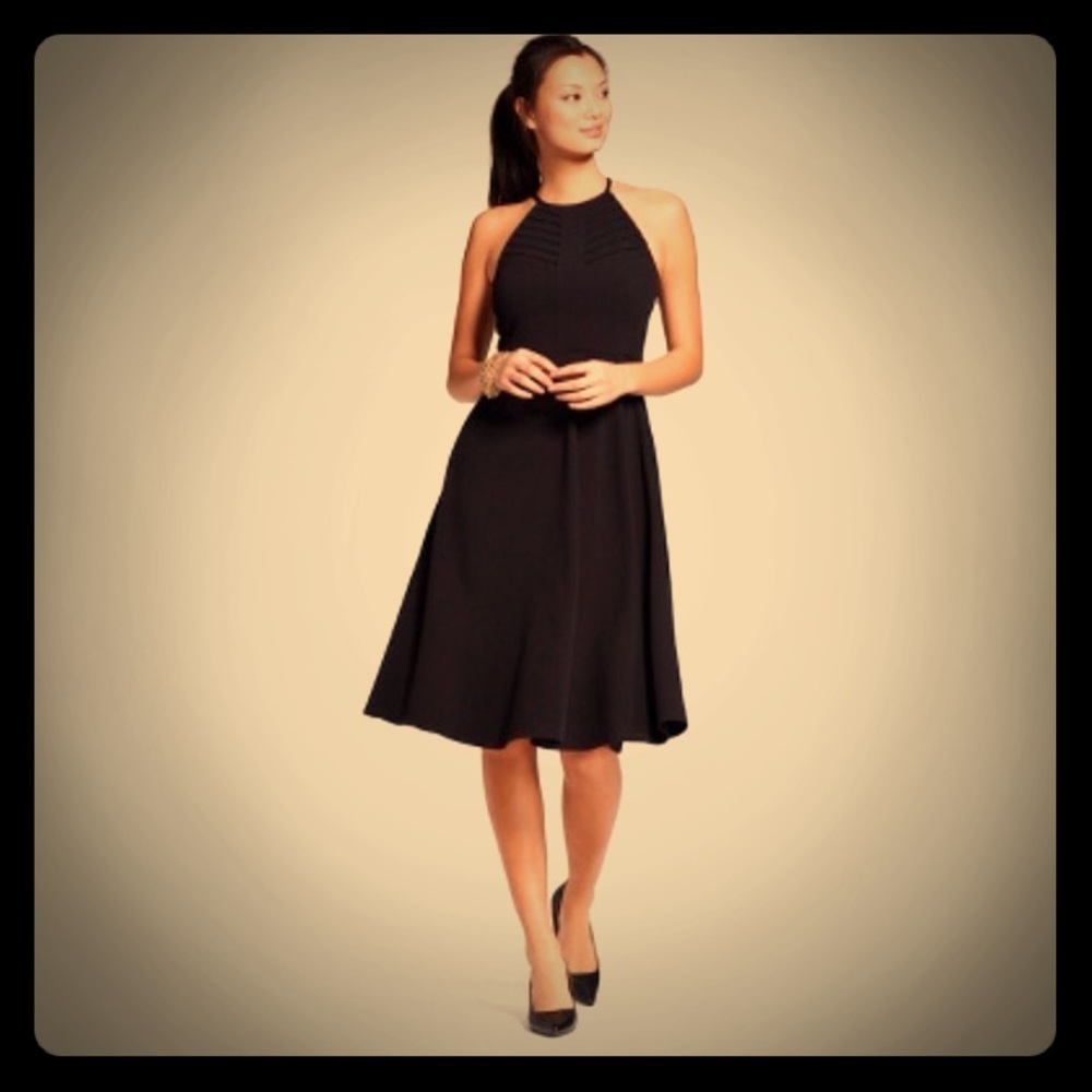 Women's Black Halterneck Fit and Flare Dress