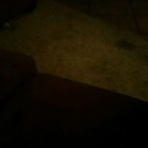 Meet your Posher, Dimitri