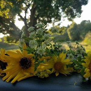 Meet your Posher, Lupe