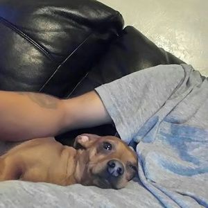 Meet your Posher, Mariano