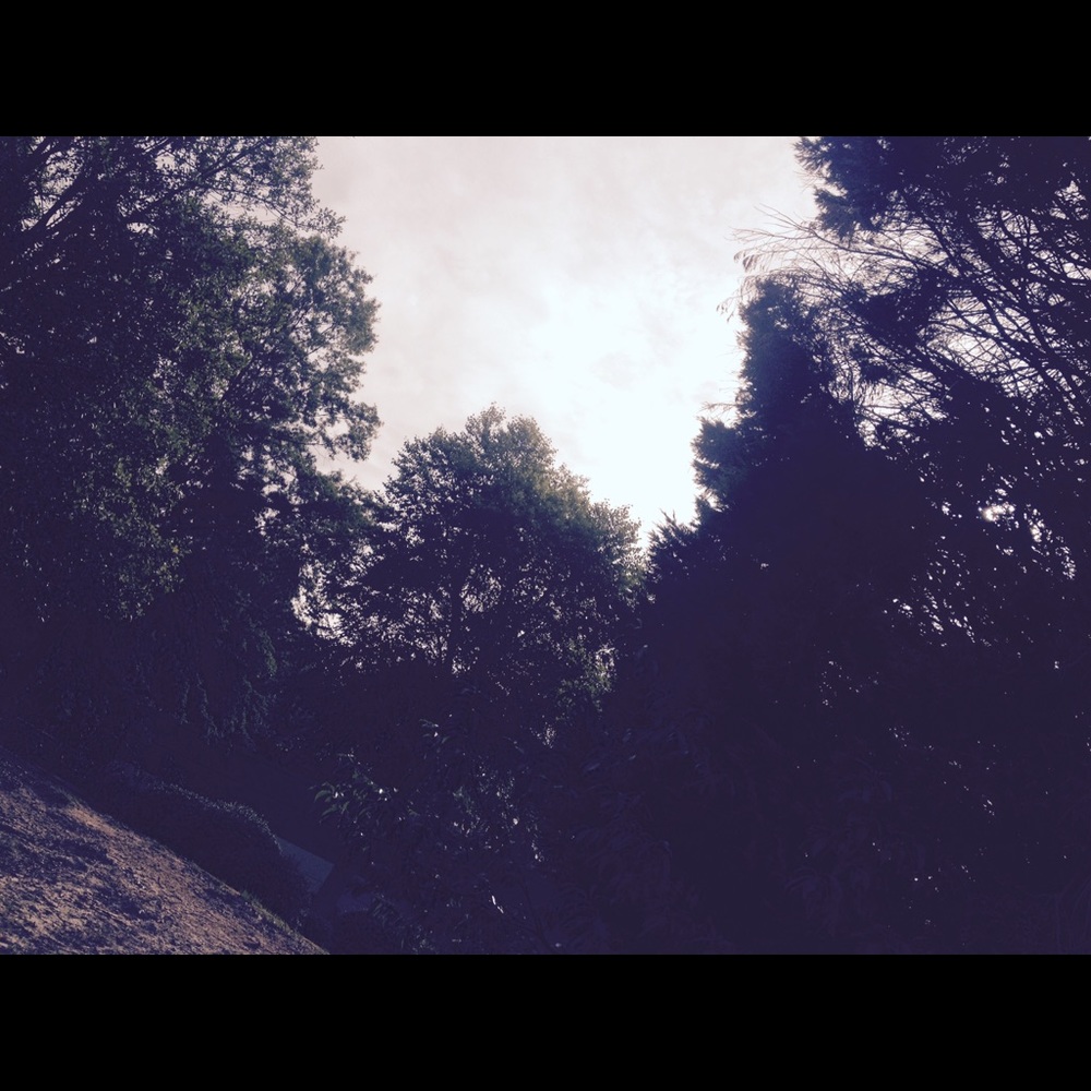 Meet your Posher, Halley