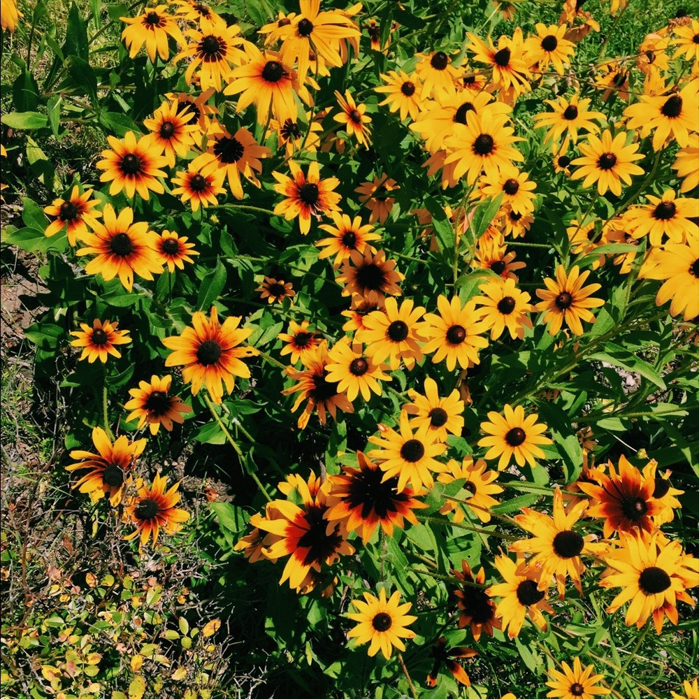 Meet your Posher, Teresa