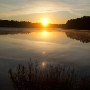 Meet your Posher, Dina